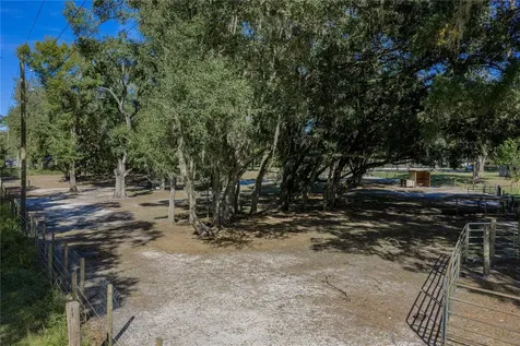9550 Cr 614a Bushnell FL 33513