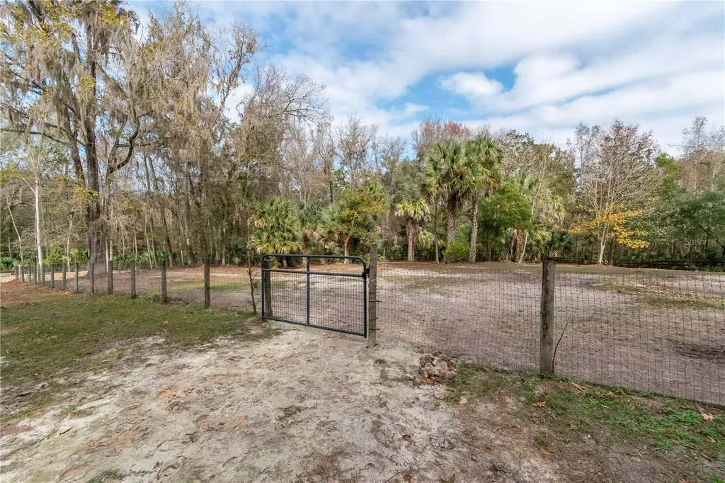 22924 NW 91st Court Road Micanopy FL 32667