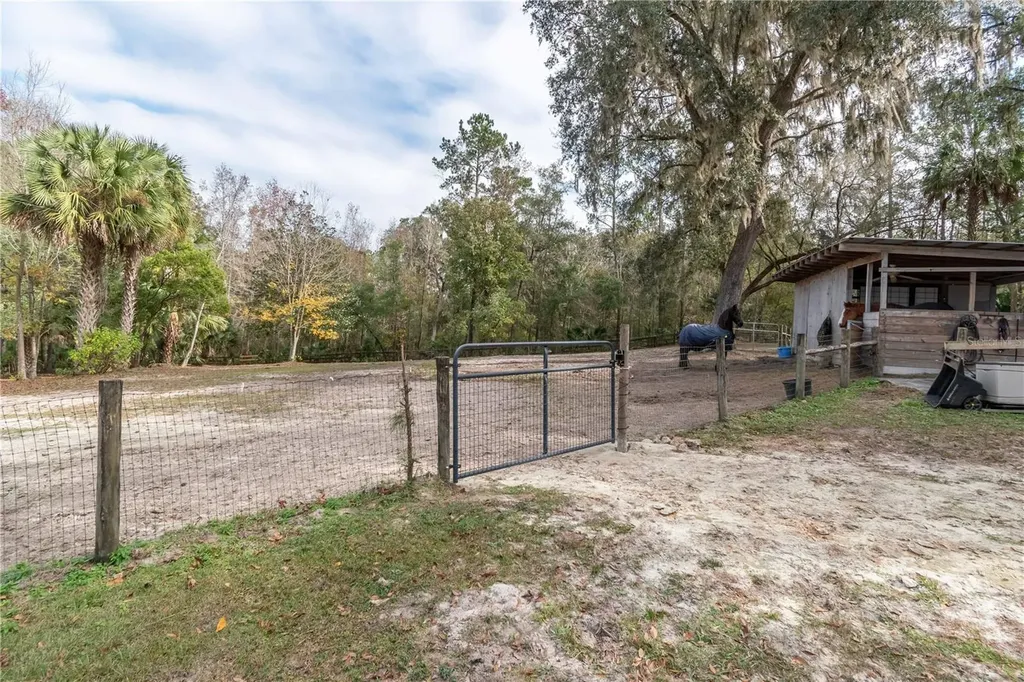 22924 NW 91st Court Road Micanopy FL 32667