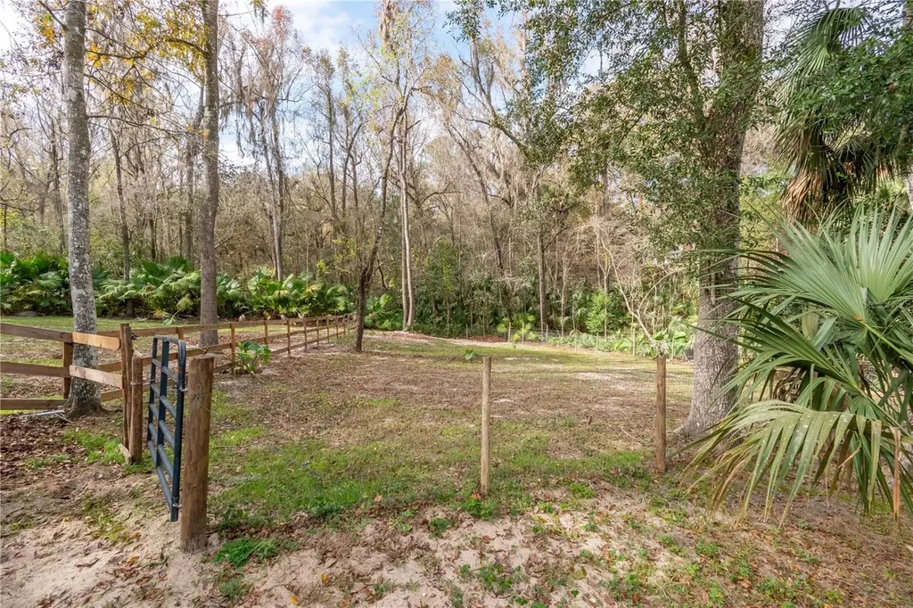22924 NW 91st Court Road Micanopy FL 32667