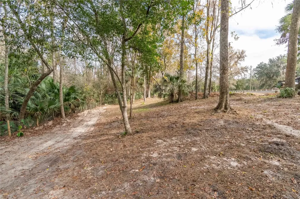 22924 NW 91st Court Road Micanopy FL 32667