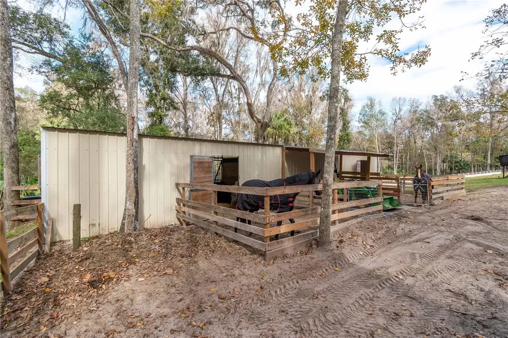 22924 NW 91st Court Road Micanopy FL 32667
