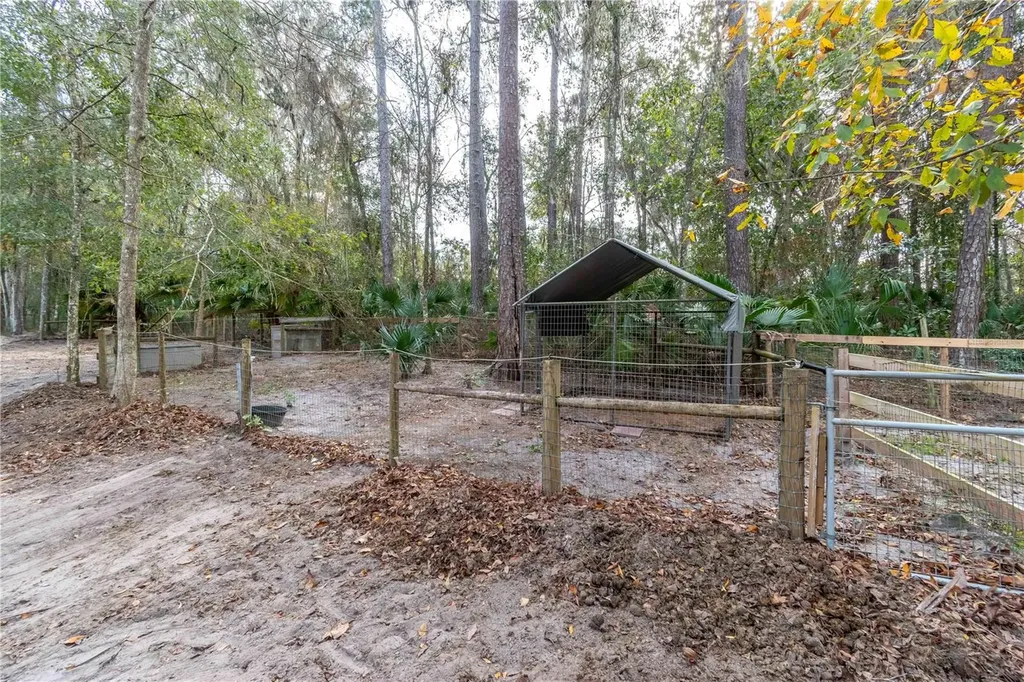 22924 NW 91st Court Road Micanopy FL 32667
