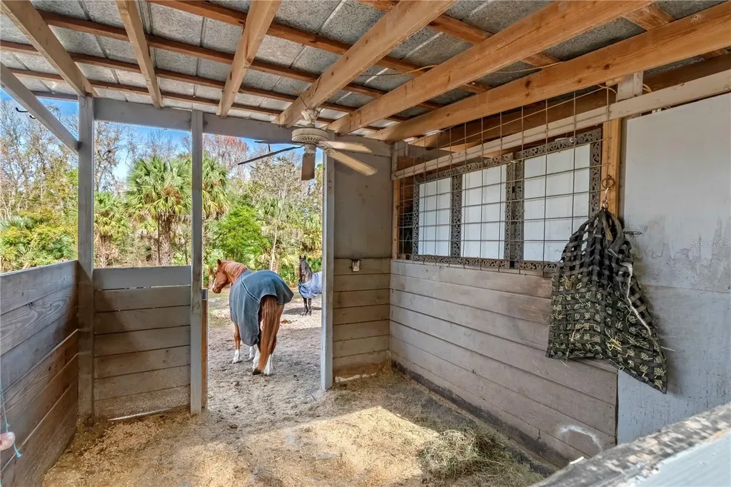 22924 NW 91st Court Road Micanopy FL 32667