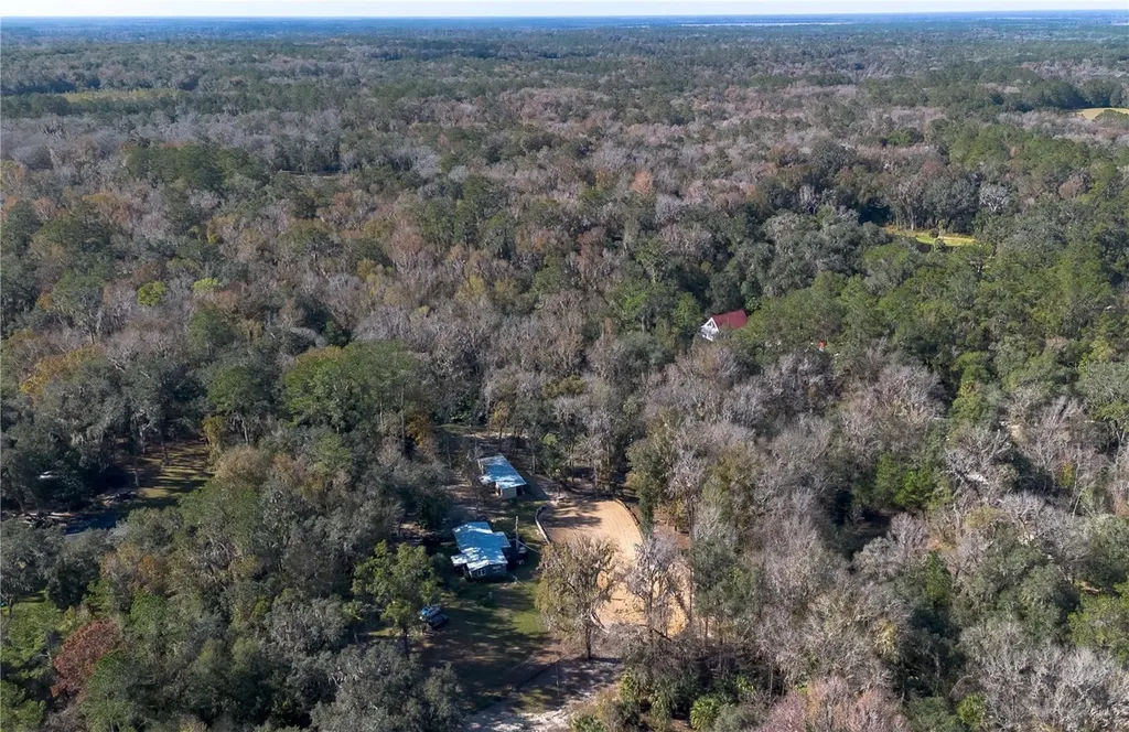 22924 NW 91st Court Road Micanopy FL 32667
