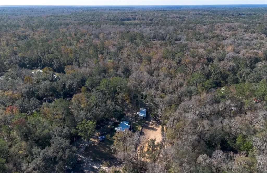 22924 NW 91st Court Road Micanopy FL 32667
