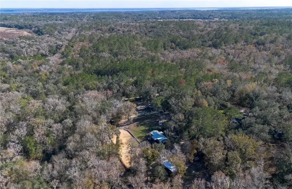 22924 NW 91st Court Road Micanopy FL 32667