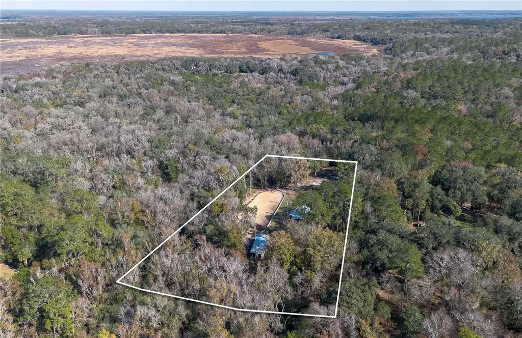 22924 NW 91st Court Road Micanopy FL 32667