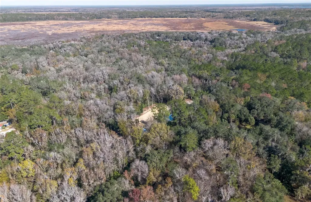 22924 NW 91st Court Road Micanopy FL 32667