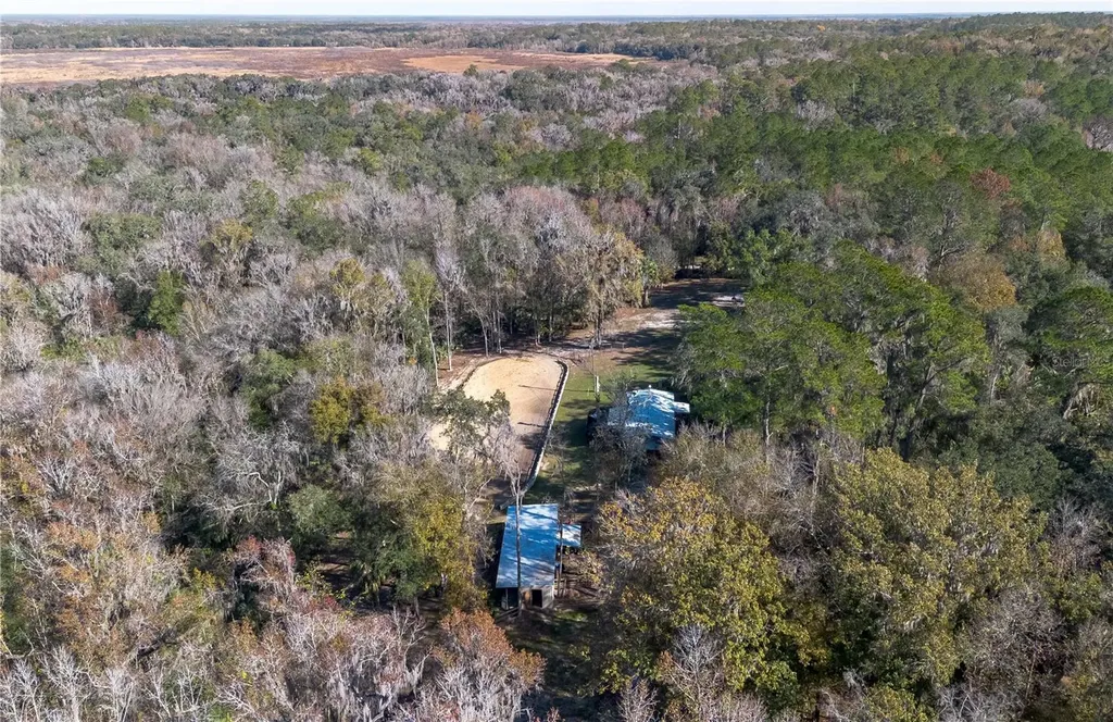 22924 NW 91st Court Road Micanopy FL 32667