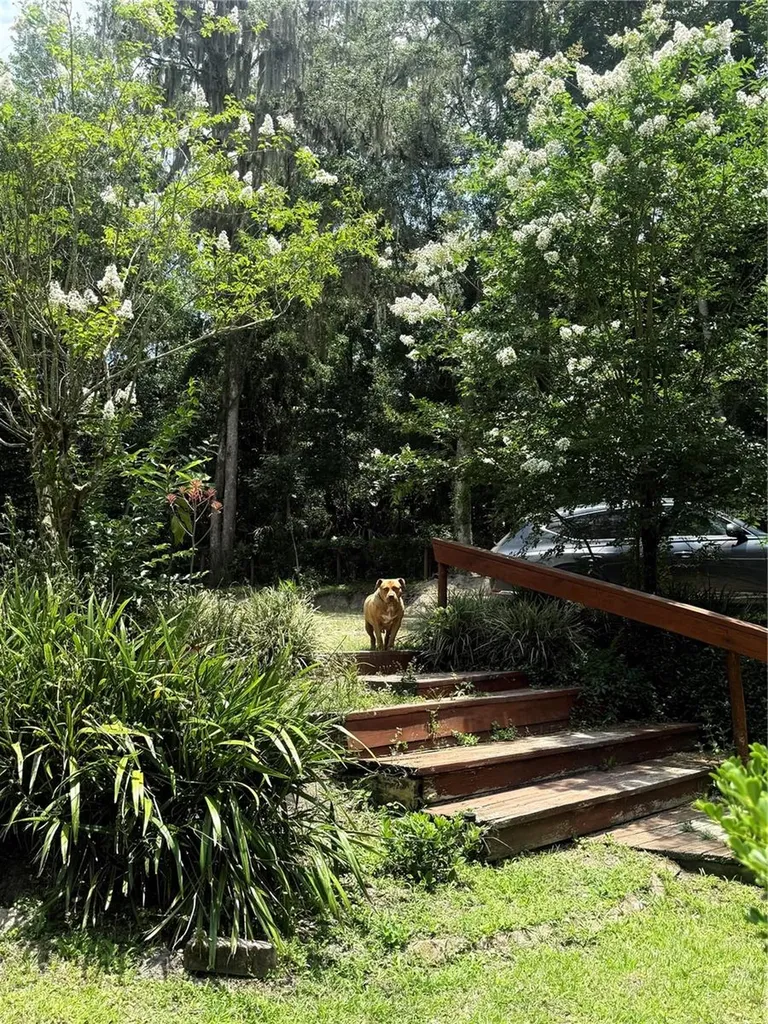 22924 NW 91st Court Road Micanopy FL 32667