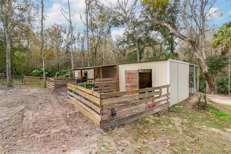 22924 NW 91st Court Road Micanopy FL 32667