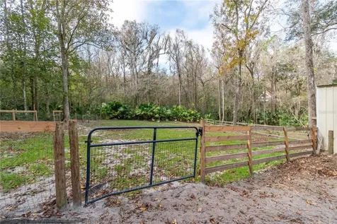 22924 NW 91st Court Road Micanopy FL 32667