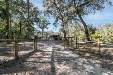 22924 NW 91st Court Road Micanopy FL 32667