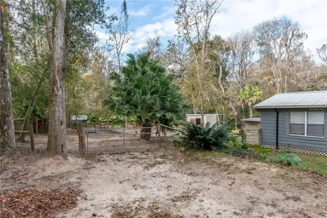22924 NW 91st Court Road Micanopy FL 32667