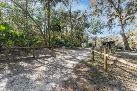 22924 NW 91st Court Road Micanopy FL 32667