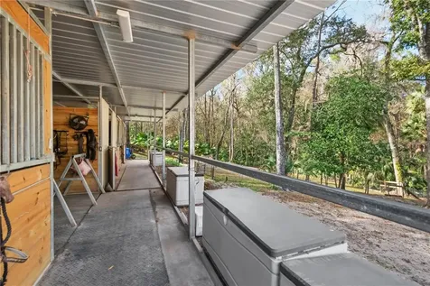 22924 NW 91st Court Road Micanopy FL 32667