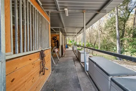 22924 NW 91st Court Road Micanopy FL 32667