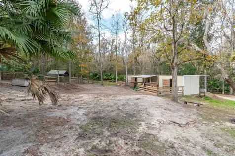 22924 NW 91st Court Road Micanopy FL 32667