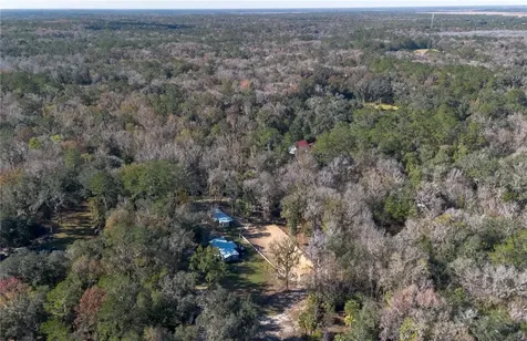 22924 NW 91st Court Road Micanopy FL 32667