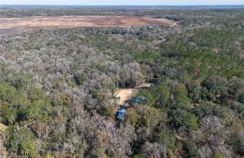 22924 NW 91st Court Road Micanopy FL 32667