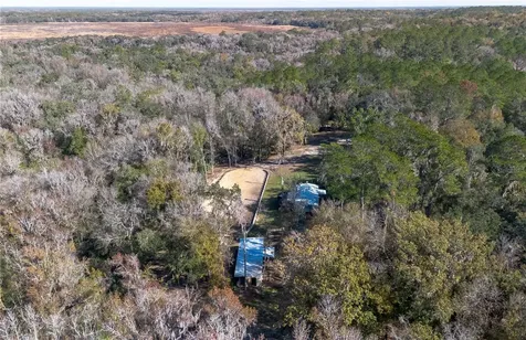 22924 NW 91st Court Road Micanopy FL 32667