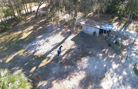 22924 NW 91st Court Road Micanopy FL 32667
