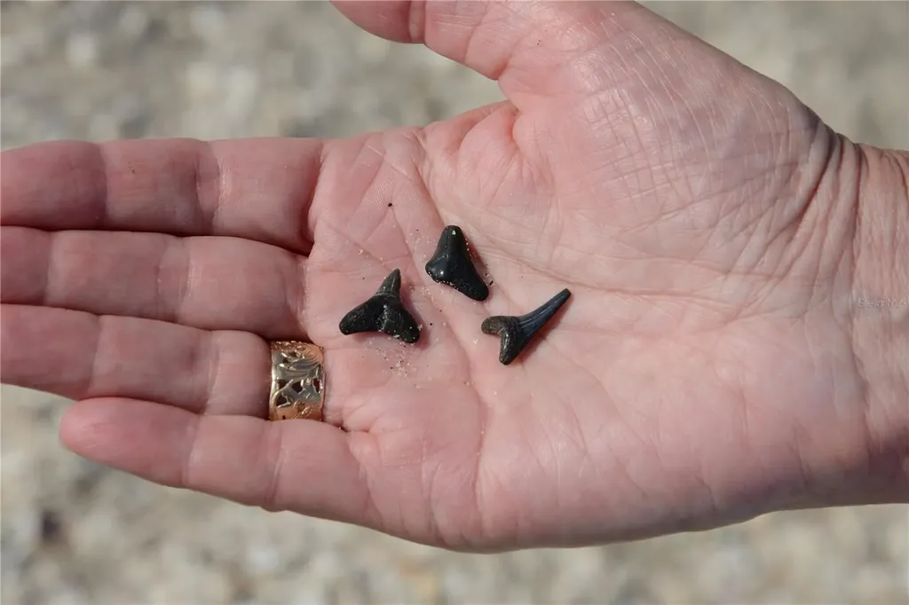 2727 N Beach Road Englewood FL 34223