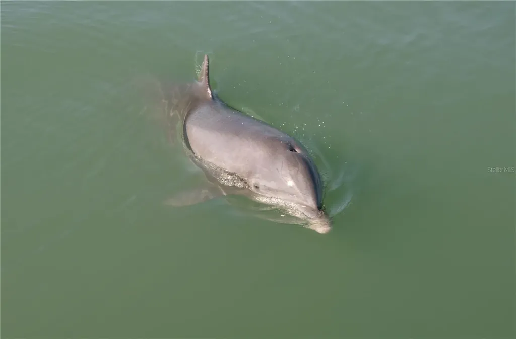 2727 N Beach Road Englewood FL 34223