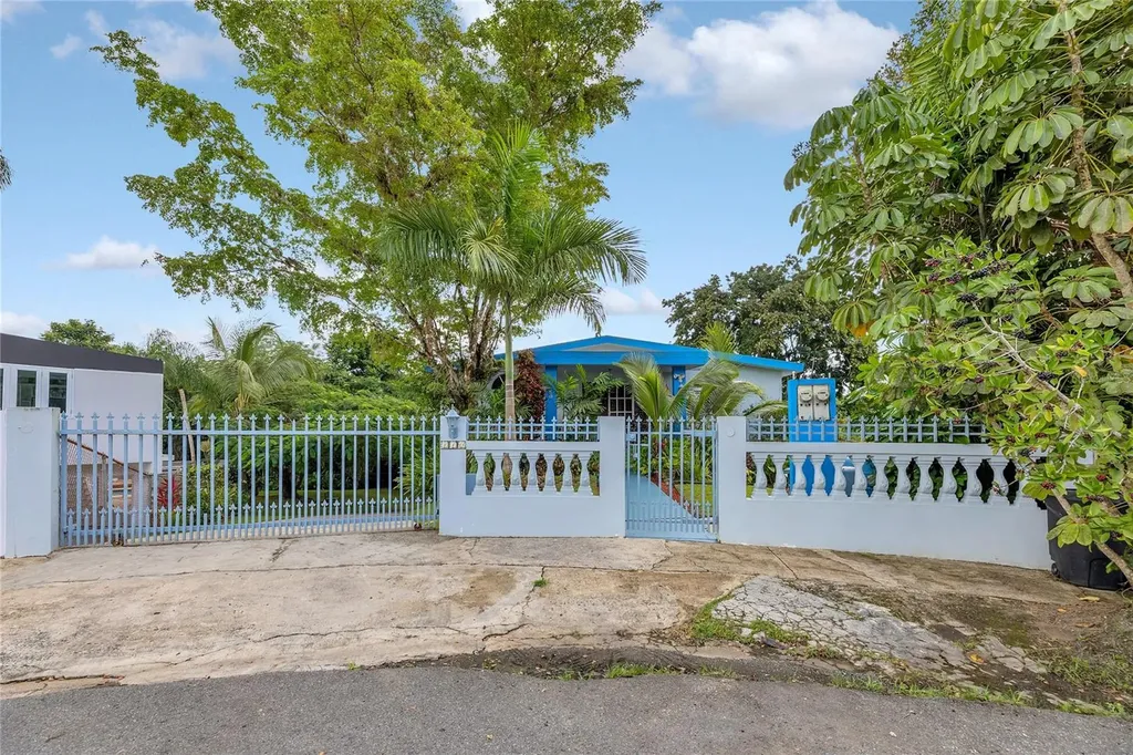 110 Freire Calle Rubi Cidra PR 00739