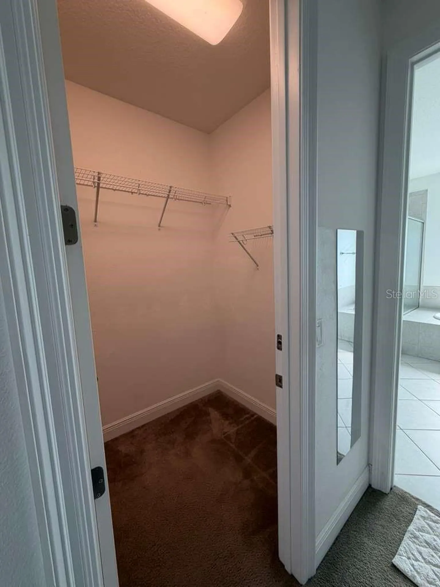 15852 Shorebird Lane Winter Garden FL 34787