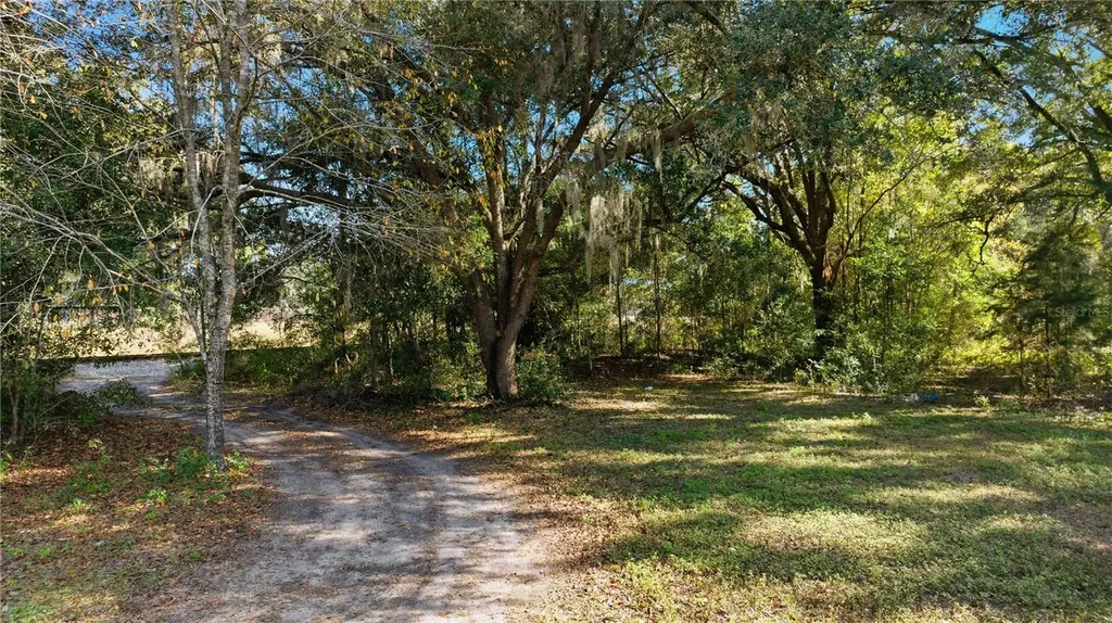 2451 SE Highway 41 Morriston FL 32668