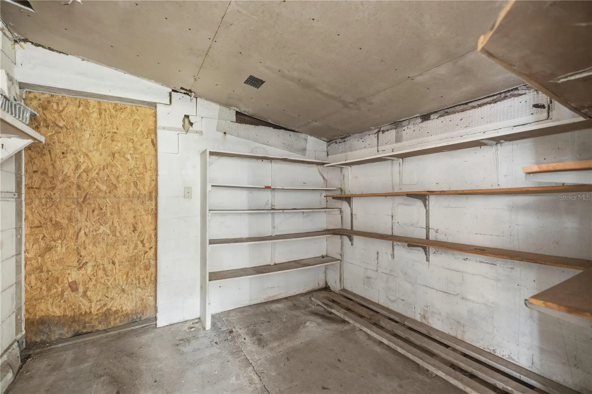 2451 SE Highway 41 Morriston FL 32668