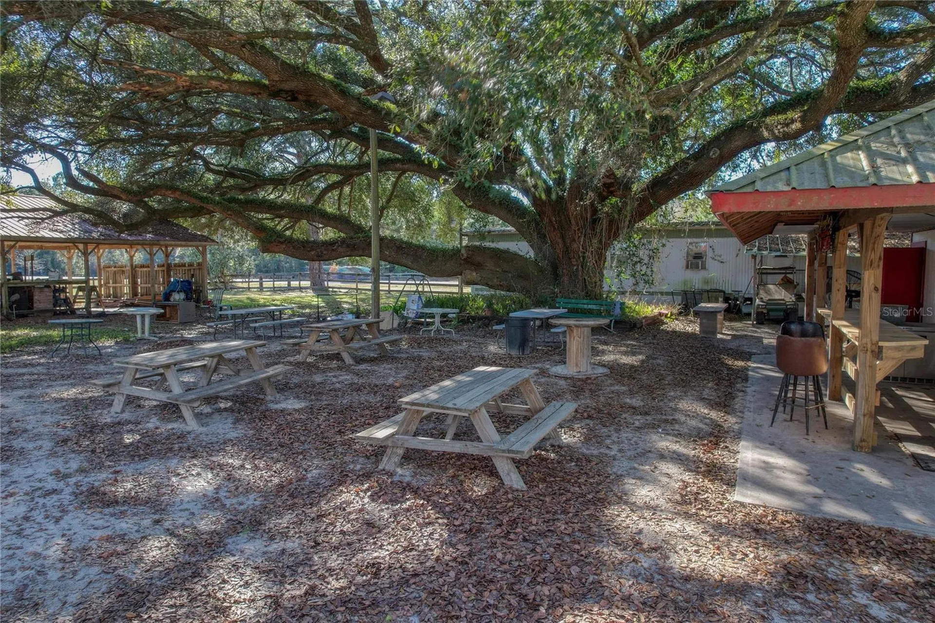 2451 SE Highway 41 Morriston FL 32668