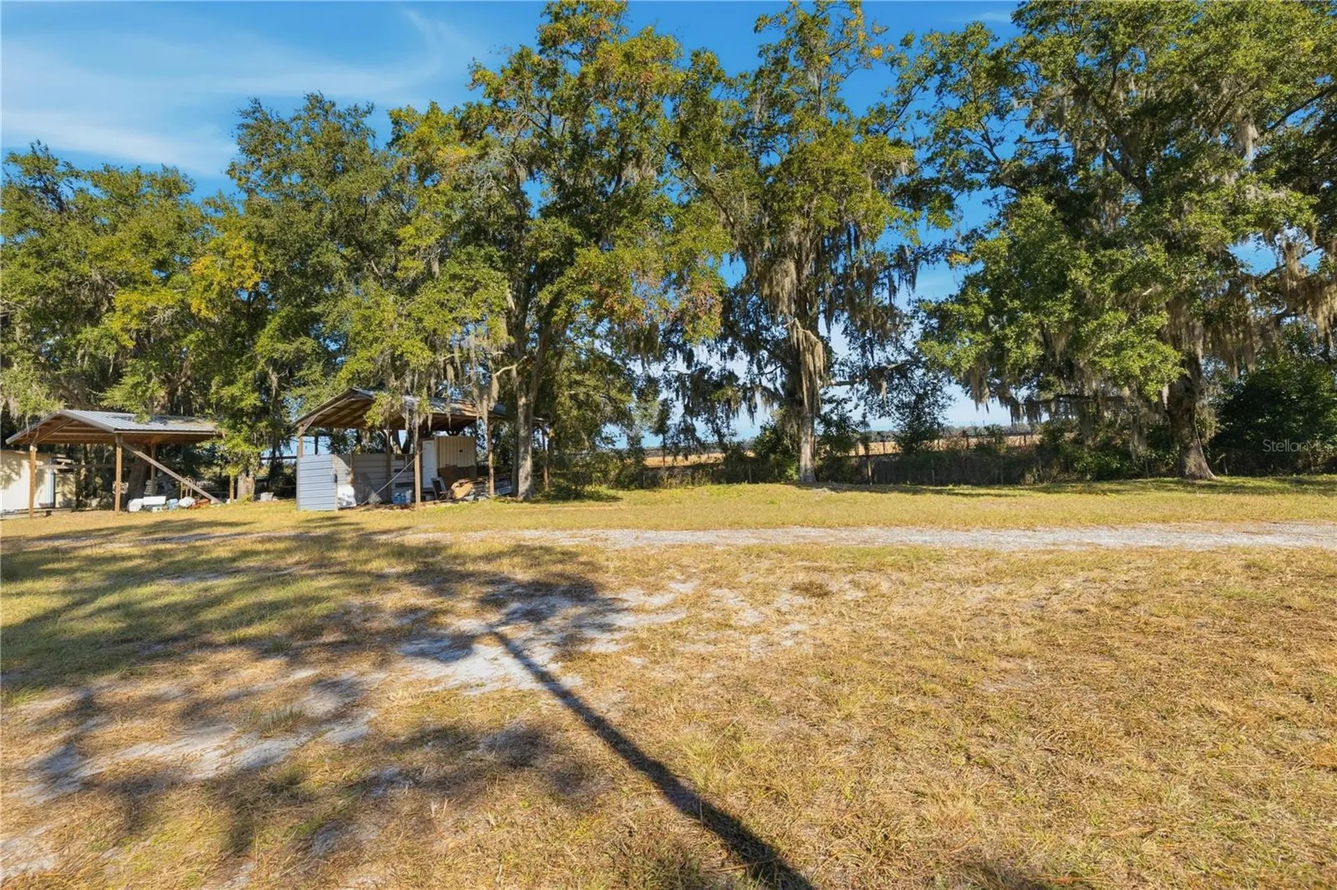 2451 SE Highway 41 Morriston FL 32668