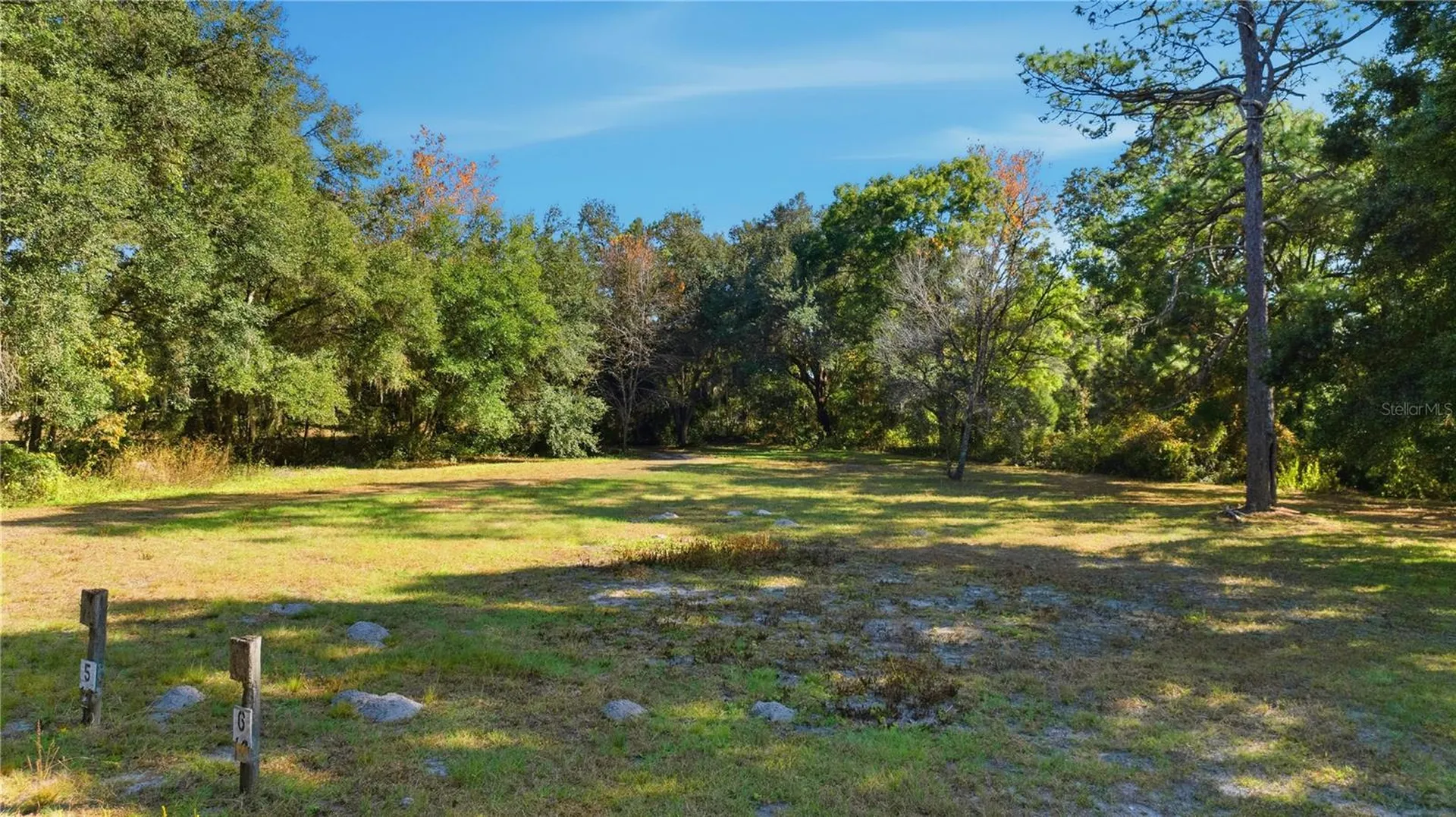 2451 SE Highway 41 Morriston FL 32668