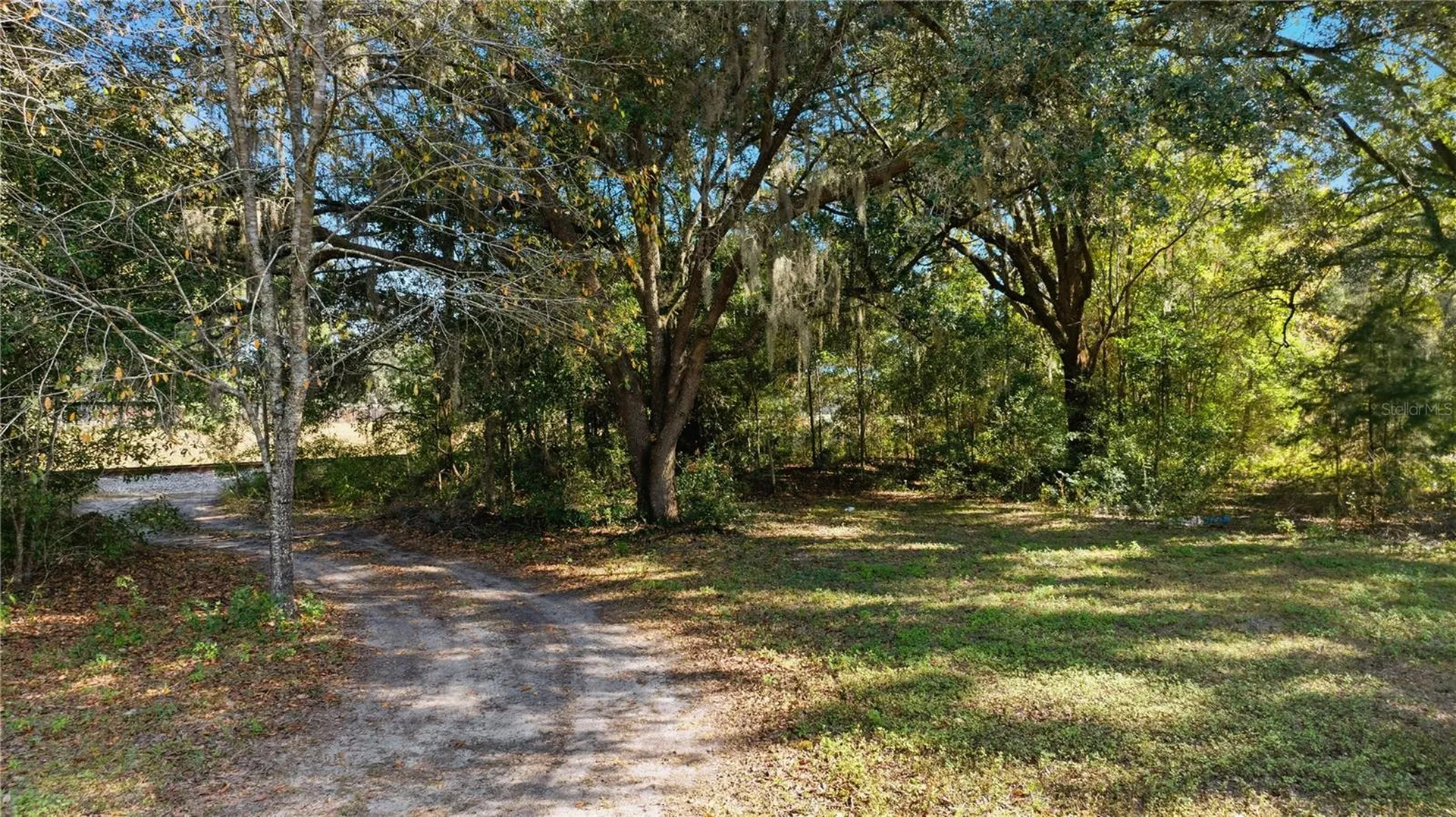 2451 SE Highway 41 Morriston FL 32668