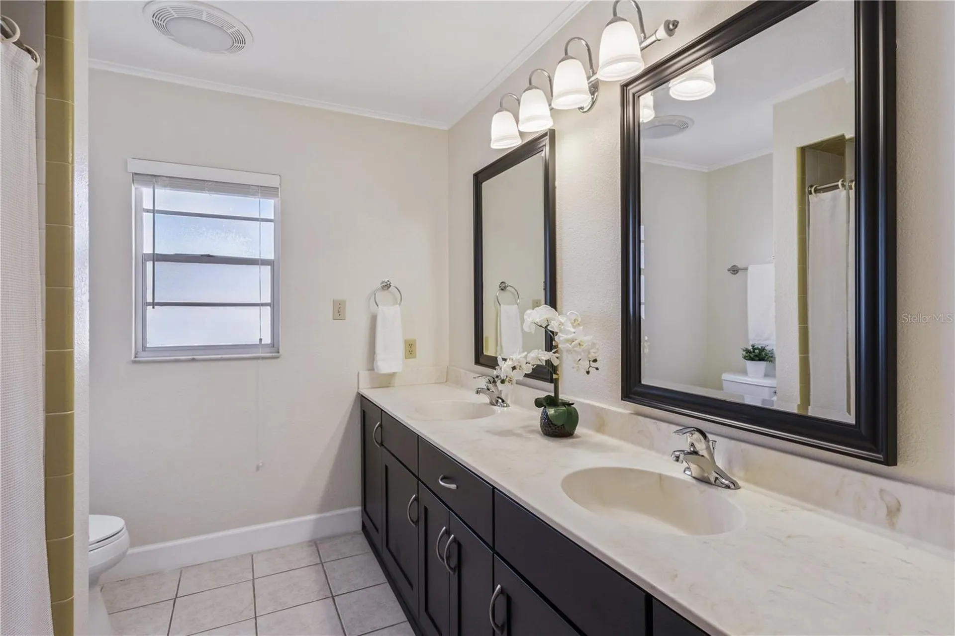 28228 Tammi Drive Tavares FL 32778