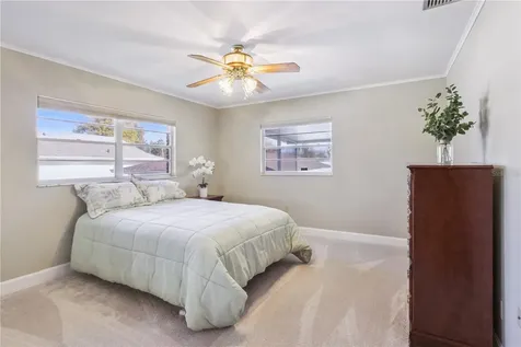 28228 Tammi Drive Tavares FL 32778