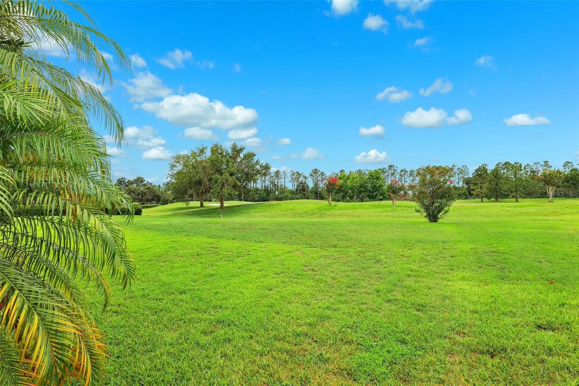 13049 Thoroughbred Drive Dade City FL 33525