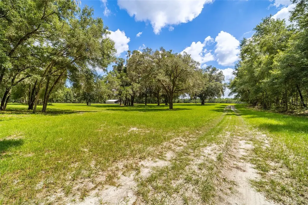 Tbd SE 35th Street Morriston FL 32668