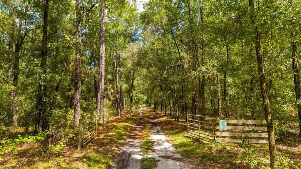 Tbd SE 35th Street Morriston FL 32668