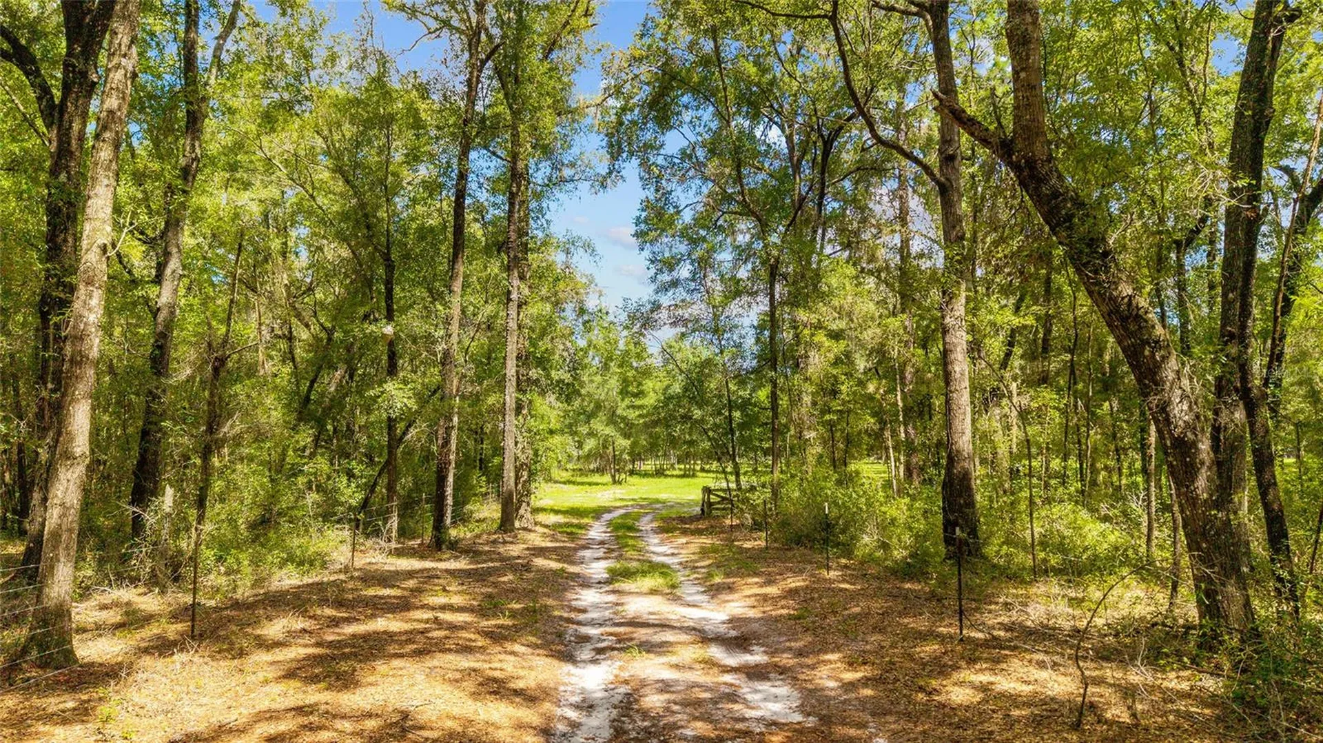 Tbd SE 35th Street Morriston FL 32668