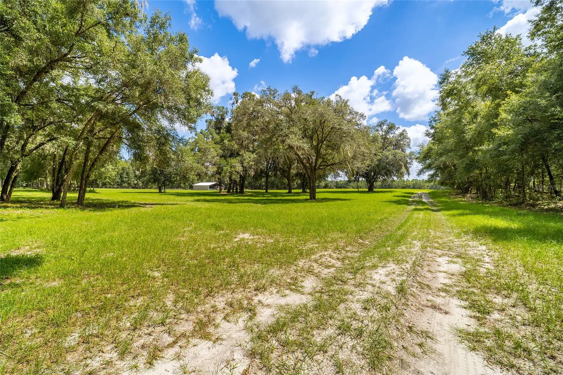 Tbd SE 35th Street Morriston FL 32668