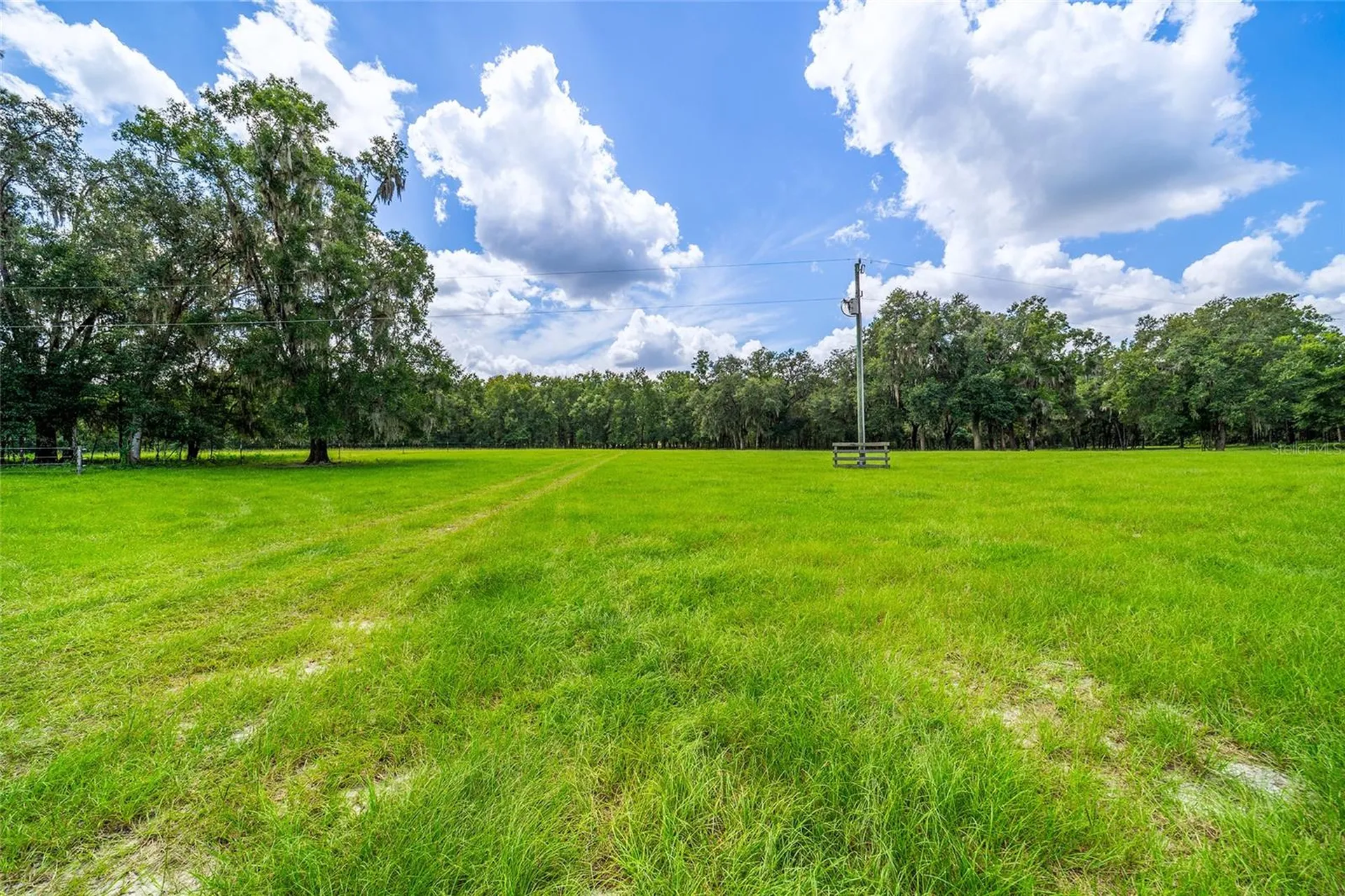 Tbd SE 35th Street Morriston FL 32668