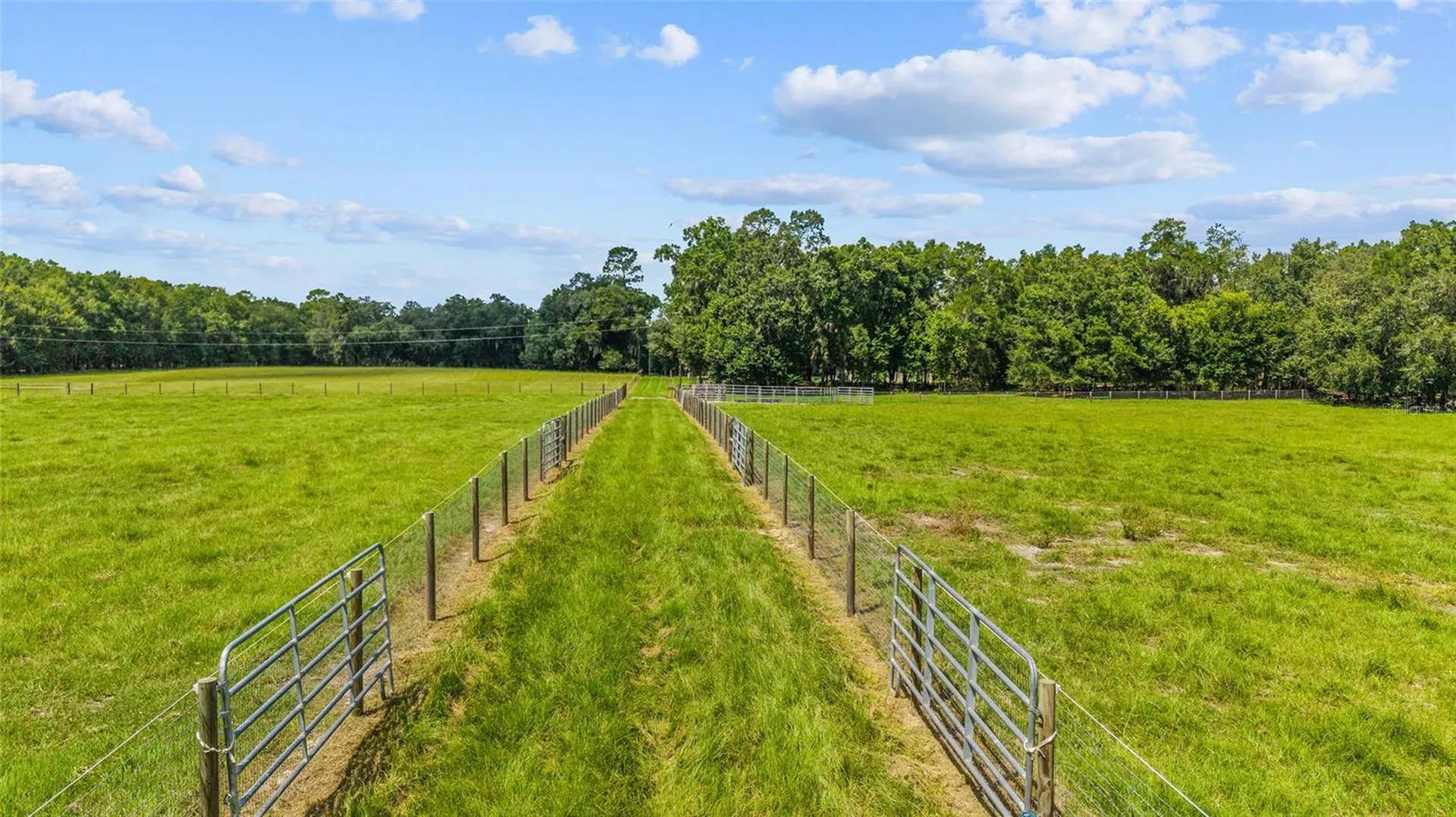Tbd SE 35th Street Morriston FL 32668