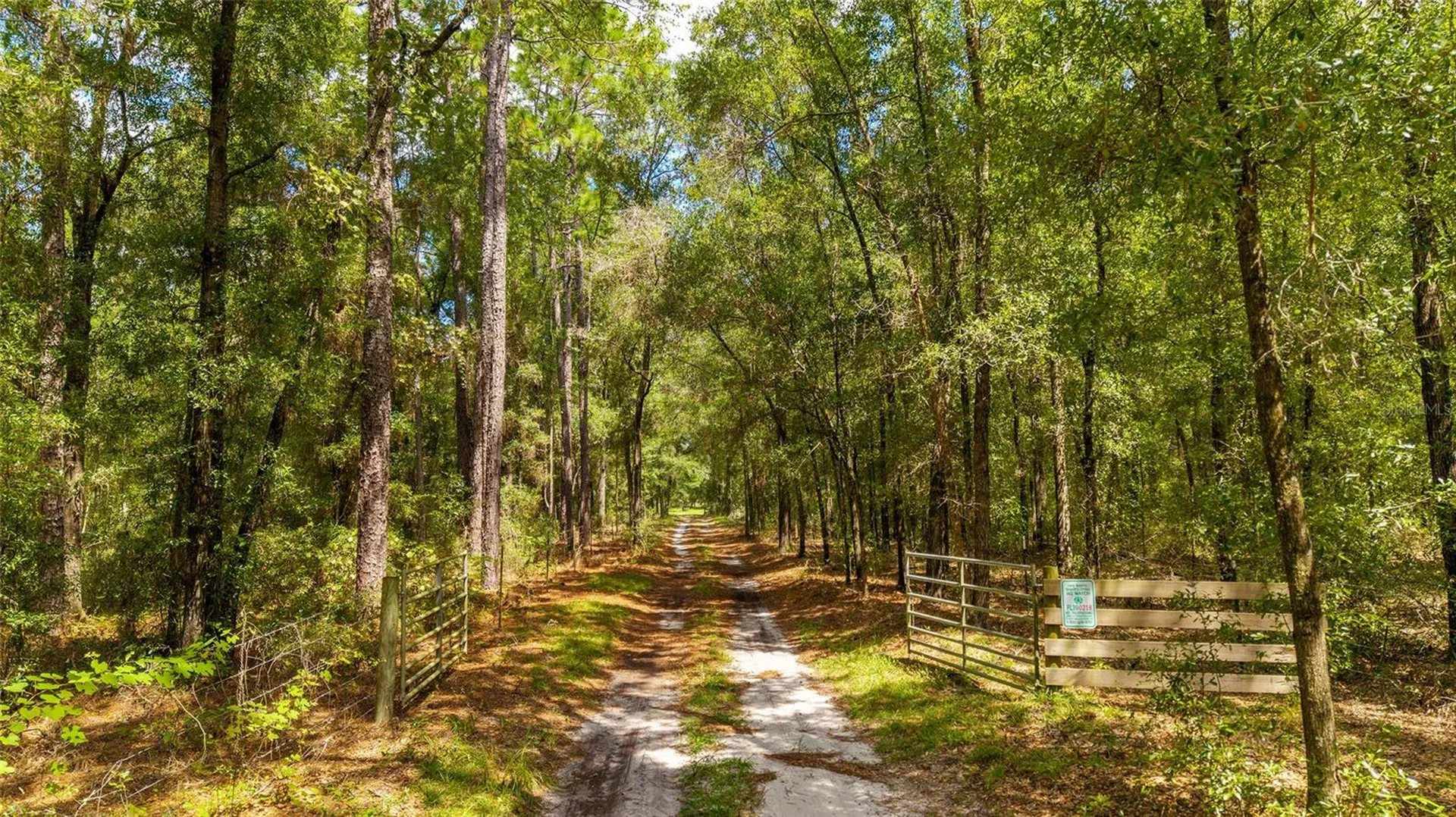 Tbd SE 35th Street Morriston FL 32668