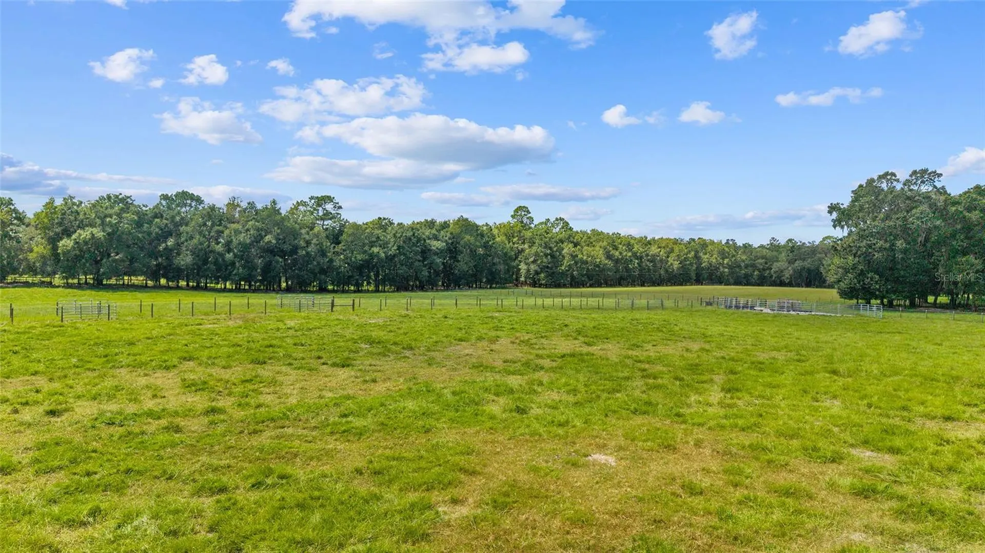 Tbd SE 35th Street Morriston FL 32668