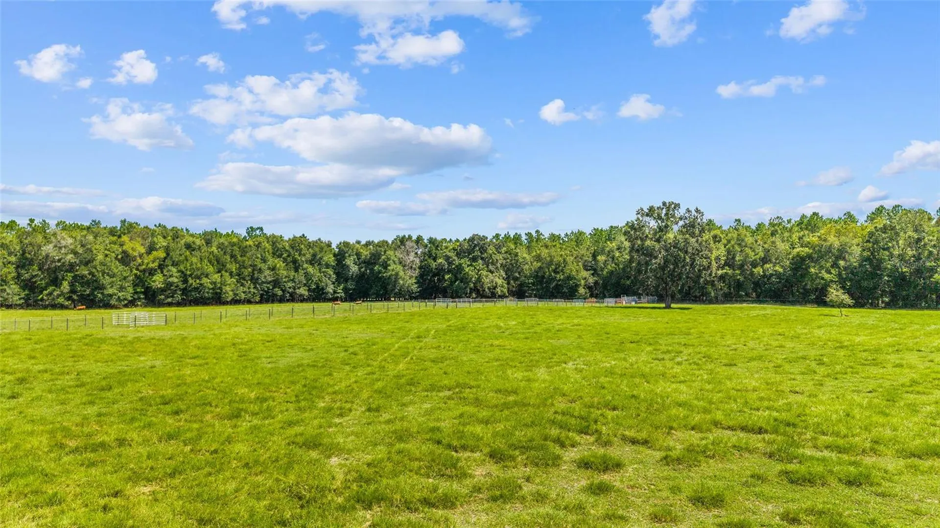 Tbd SE 35th Street Morriston FL 32668