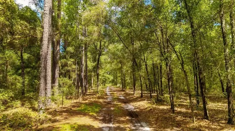 Tbd SE 35th Street Morriston FL 32668
